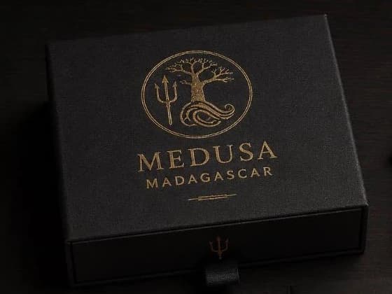 Visualisation du coffret MEDUSA fermé, emblème doré frappé sur la toile noire